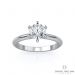 Six Prong Classic Solitaire Engagement Ring (14K White Gold)